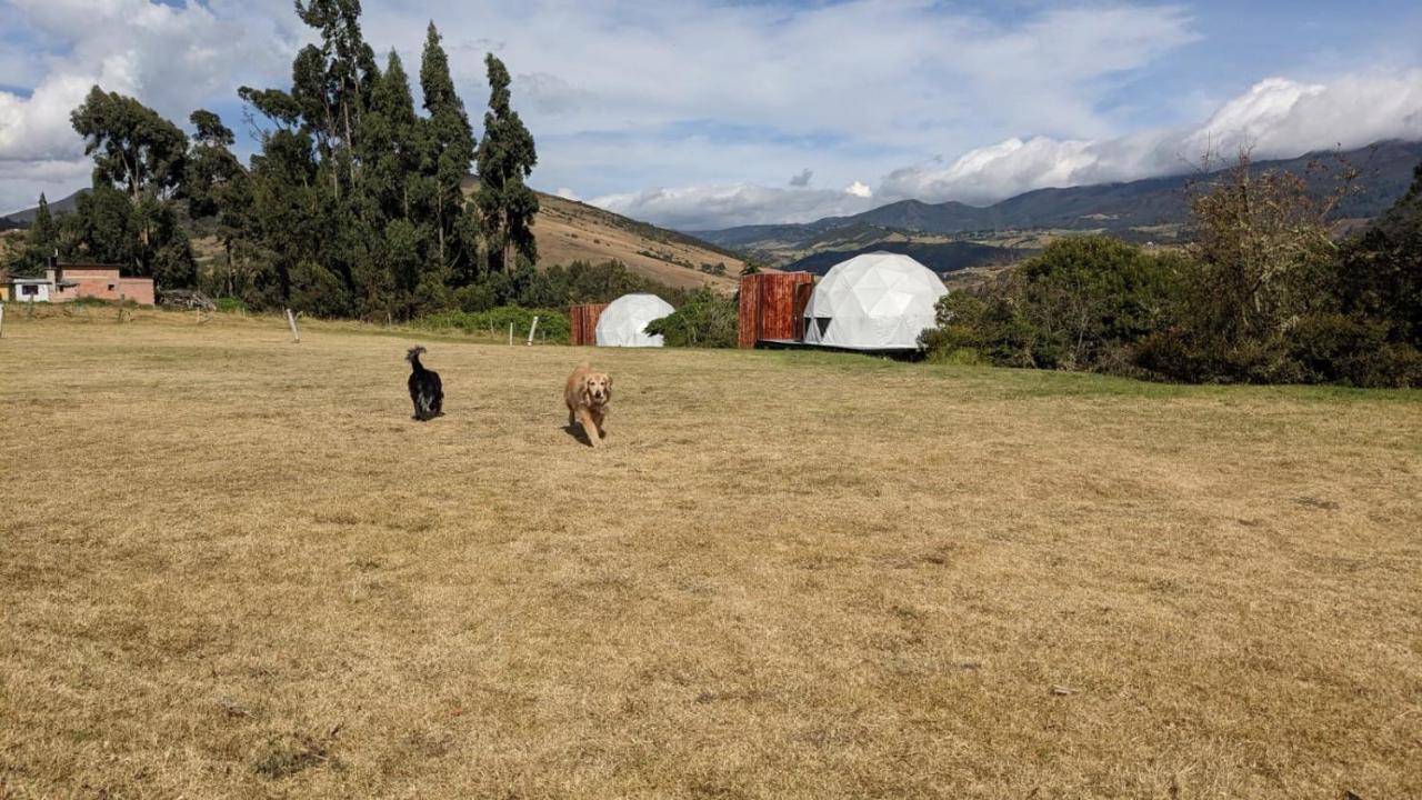 La Meca Glamping Hotel Guasca Exterior photo